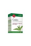 INTERHERB NAPI 1 CSALÁNGYÖKÉR EXTRAKTUM KAPSZULA 30DB