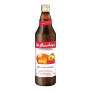 BIO DR.STEINBERGER ALMA MANGÓ ROSTOS GYÜMÖLCSLÉ 750ML