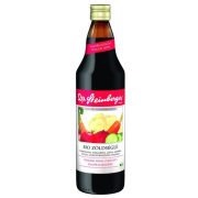BIO DR.STEINBERGER ZÖLDSÉGLÉ 750ML