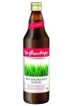 BIO DR.STEINBERGER ZÖLDBÚZAFŰ KOKTÉL 750ML