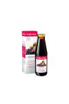 DR.STEINBERGER EISENBLUT+VAS+VITAMIN 450ML