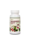 NETAMIN GALAGONYA KIVONAT 400MG KAPSZULA 60DB
