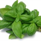 MAMA TEA BAZSALIKOM SZÁLAS 50G