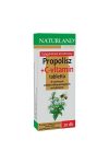 NATURLAND PROPOLISZ+C-VITAMIN TABLETTA 20DB