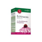 INTERHERB NAPI 1 ECHINACEA EXTRAKTUM KAPSZULA 30DB