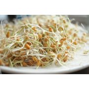 NATURA HAJDINA NATÚR 250G