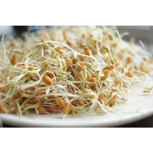 NATURA HAJDINA NATÚR 250G