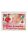 DR.CHEN CRAN-TŐZEGÁFONYA KOMPLEX KAPSZULA 60DB