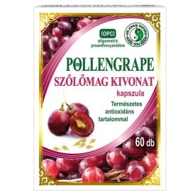DR.CHEN POLLENGRAPE KAPSZULA 60DB