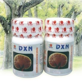 DXN REISHI MUSHROOM POR 1db