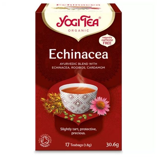 Apotheke tea echinacea+ginko immunerősítő filteres 20db