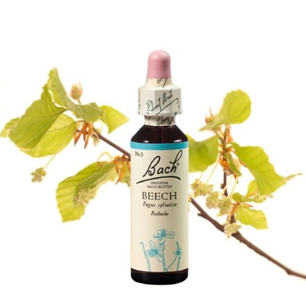 EREDETI BACH VIRÁGESZENCIA  BEECH-BÜKKFA 20ML- A TOLERANCIA VIRÁGA