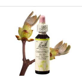   EREDETI BACH VIRÁGESZENCIA CHESTNUT-VADGESZTENYERÜGY 20 ML-A TANULÁS VIRÁGA