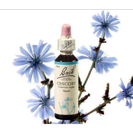 EREDETI BACH VIRÁGESZENCIA CHICORY-MEZEI KATÁNG 20 ML-AZ ANYASÁG VIRÁGA