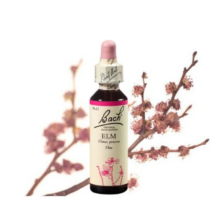 EREDETI BACH VIRÁGESZENCIA ELM-SZILFA 20 ML FELELŐSSÉG VIRÁGA