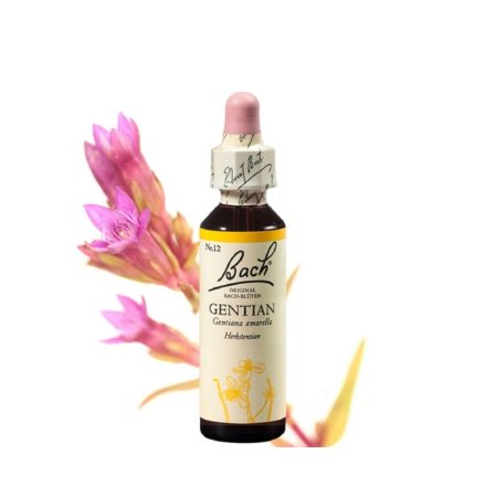 EREDETI BACH VIRÁGESZENCIA GENTIAN TÁRNICS 20ML A HIT VIRÁGA