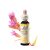 EREDETI BACH VIRÁGESZENCIA GENTIAN TÁRNICS 20ML A HIT VIRÁGA