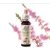EREDETI BACH VIRÁGESZENCIA HEATHER-HANGA 20ML-AZ IDENTITÁS VIRÁGA