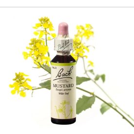 EREDETI BACH VIRÁGESZENCIA VADREPCE 20ML- A FÉNY VIRÁGA