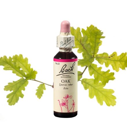 EREDETI BACH VIRÁGESZENCIA OAK-TÖLGYFA 20ML-A KITARTÁS VIRÁGA