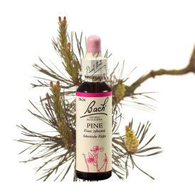   EREDETI BACH VIRÁGESZENCIA ERDEIFENYŐ 20ML-AZ ÖNMAGUNK ELFOGADÁSÁNAK A VIRÁGA