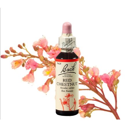 EREDETI BACH VIRÁGESZENCIA VÖRÖS VADGESZTENYE 20ML-AZ ÖNÁLLÓSODÁS VIRÁGA