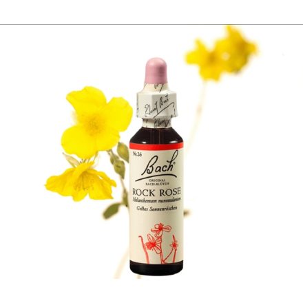 EREDETI BACH VIRÁGESZENCIA MOLYOS NAPVIRÁG 20ML-A KITÖRÉS VIRÁGA