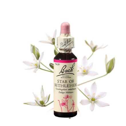 EREDETI BACH VIRÁGESZENCIA ERNYŐS MADÁRTEJ 20ML-A VIGASZ VIRÁGA