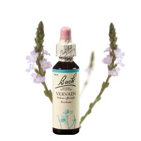   EREDETI BACH VIRÁGESZENCIA VASFŰ 20ML-A LELKESEDÉS VIRÁGA