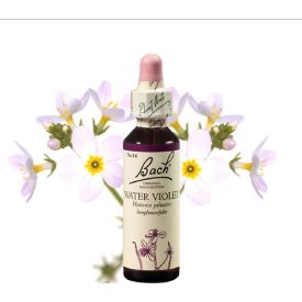   EREDETI BACH VIRÁGESZENCIA BÉKALILIOM 20 ML-A KOMMUNIKÁCIÓ VIRÁGA