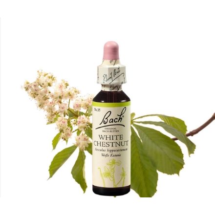EREDETI BACH VIRÁGESZENCIA FEHÉR VADGESZTENYE 20ML-A GONDOLKODÁS VIRÁGA