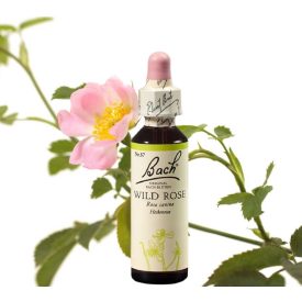   EREDETI BACH VIRÁGESZENCIA VADRÓZSA 20 ML-AZ ÉLETKEDV VIRÁGA