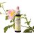 EREDETI BACH VIRÁGESZENCIA VADRÓZSA 20 ML-AZ ÉLETKEDV VIRÁGA