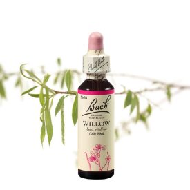 EREDETI BACH VIRÁGESZENCIA FŰZFA 20 ML-A SORS VIRÁGA