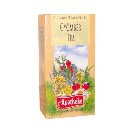 Apotheke tea gyömbér filteres 20db