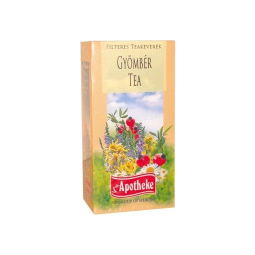 Apotheke tea gyömbér filteres 20db