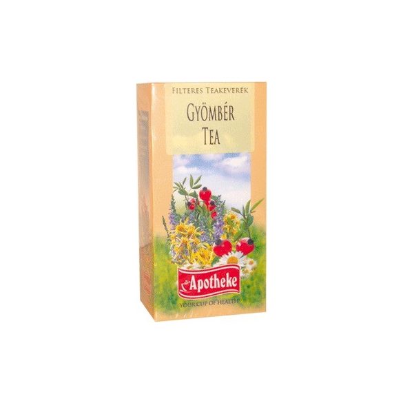 Apotheke tea gyömbér filteres 20db