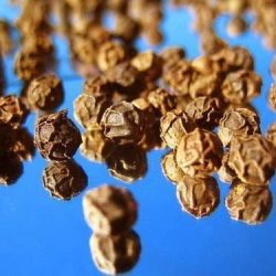 LAKSHMY FEKETEBORS EGÉSZ 30G /TOLDI/