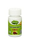 INNOVITA TŐZEGÁFONYA FORTE TABLETTA MEGAPACK 100DB