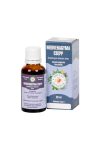 BÁLINT CSEPPEK MEDVEHAGYMA 30ML