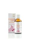 BÁLINT CSEPPEK ECHINACEA CSEPP PROPOLISSZAL ÉTREND-KIEGÉSZÍTŐ KÉSZÍTMÉNY 50ML