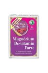DR.CHEN MAGNÉZIUM B6+GINKGO FORTE TABLETTA 30DB