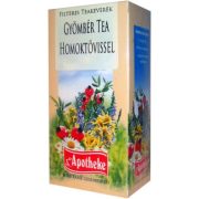 Apotheke tea gyömbér homoktövis filteres 20db