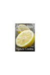 NATURE COOKTA ASZKORBINSAV 250G