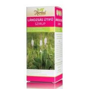   Innopharm herbal lándzsás útifű szirup echinacea+c-vitamin 150ml