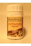 FITOVITAL GYÖMBÉR KAPSZULA 60DB