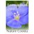 NATURE COOKTA LENMAGLISZT 250G