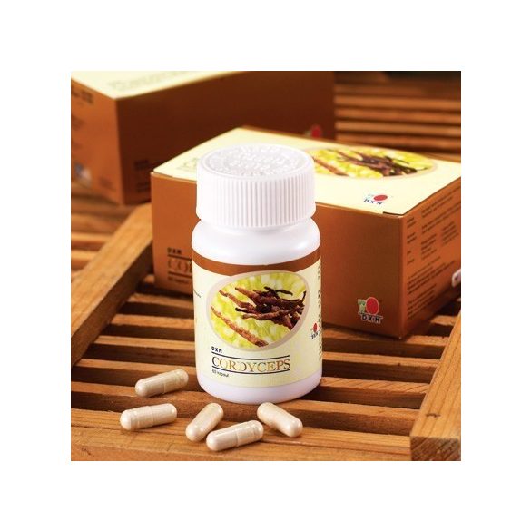 DXN CORDYCEPS kapszula