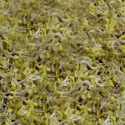 NATURA REPCE CSÍRÁZTATÁSRA 200G