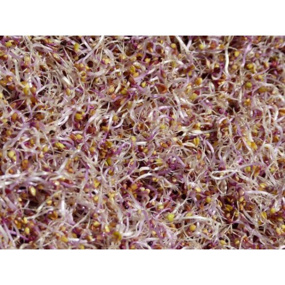 NATURA VÖRÖSKÁPOSZTA CSÍRÁZTATÁSRA 200G